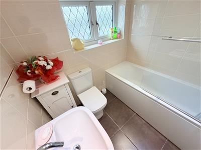 Picture 20